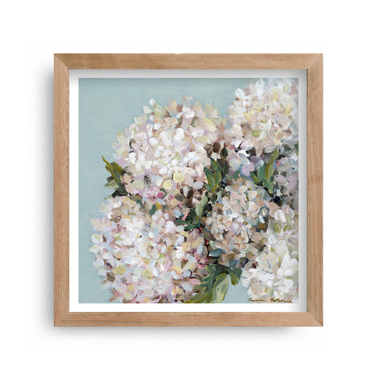 Prudence De Marchi - Hydrangea
