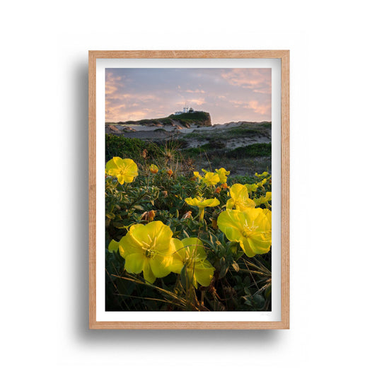 Jared Moxey - Print Flower Lighthouse