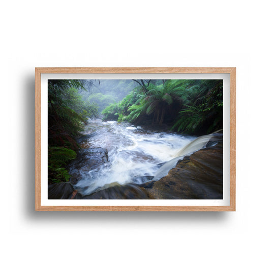 Jared Moxey- Blue Mountains Rebirth