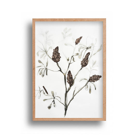 Liz Fox - Banksia