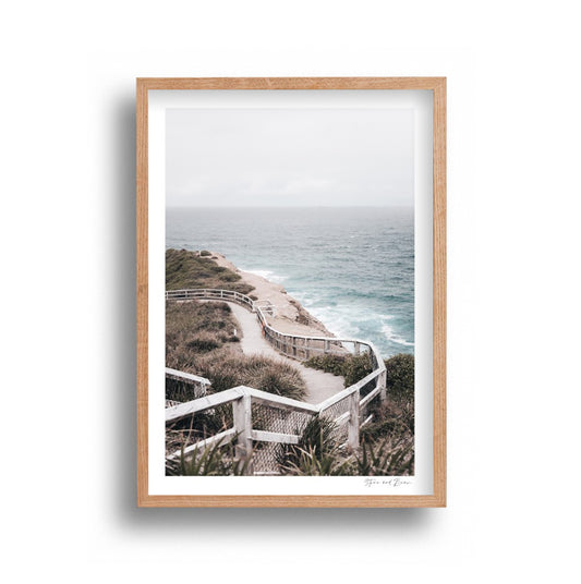 Stone and Bear - Coastal Walk