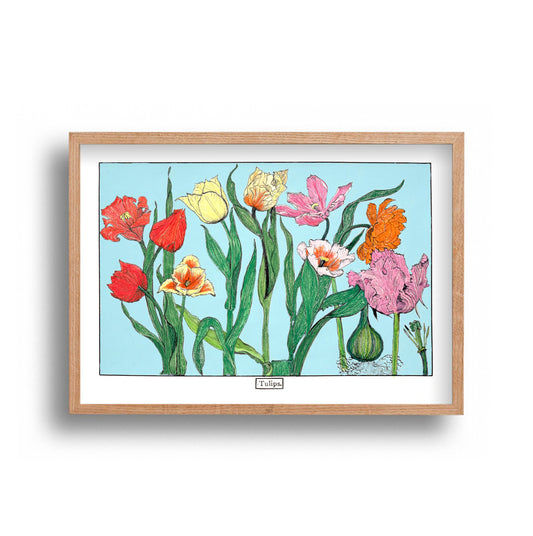 Liz Sherrif - Tulips