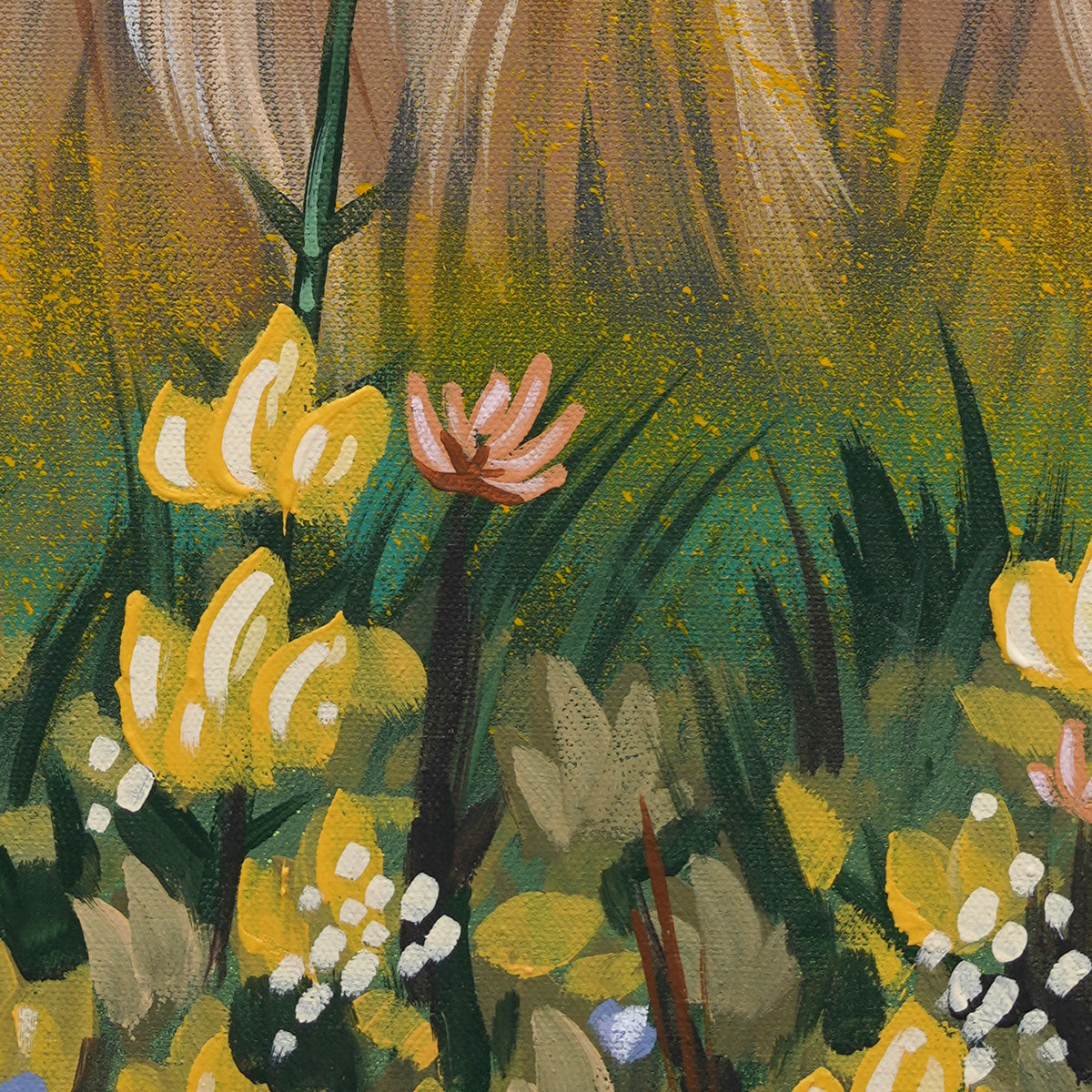 The Majestic Rabbit – Mitch Revs Gallery