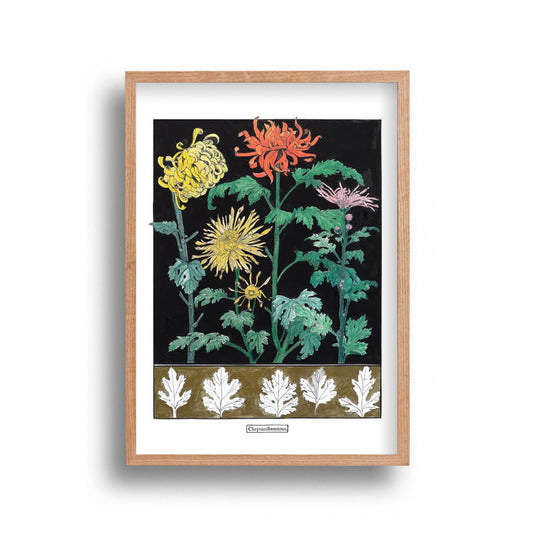 Liz Sherriff - Chrysanthemums 2