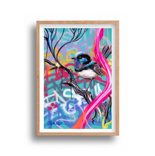 Jimmy Jenkoz - Blue Wren
