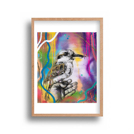 Jimmy Jenkoz - Capt. J Kookaburra