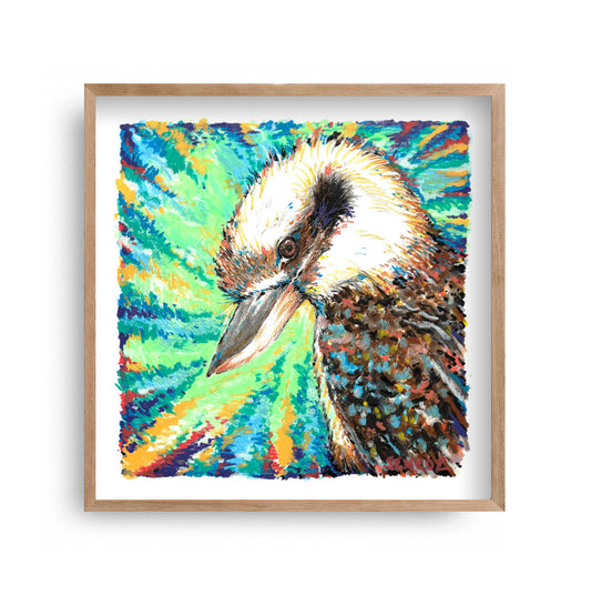 Jimmy Jenkoz - Kookaburra