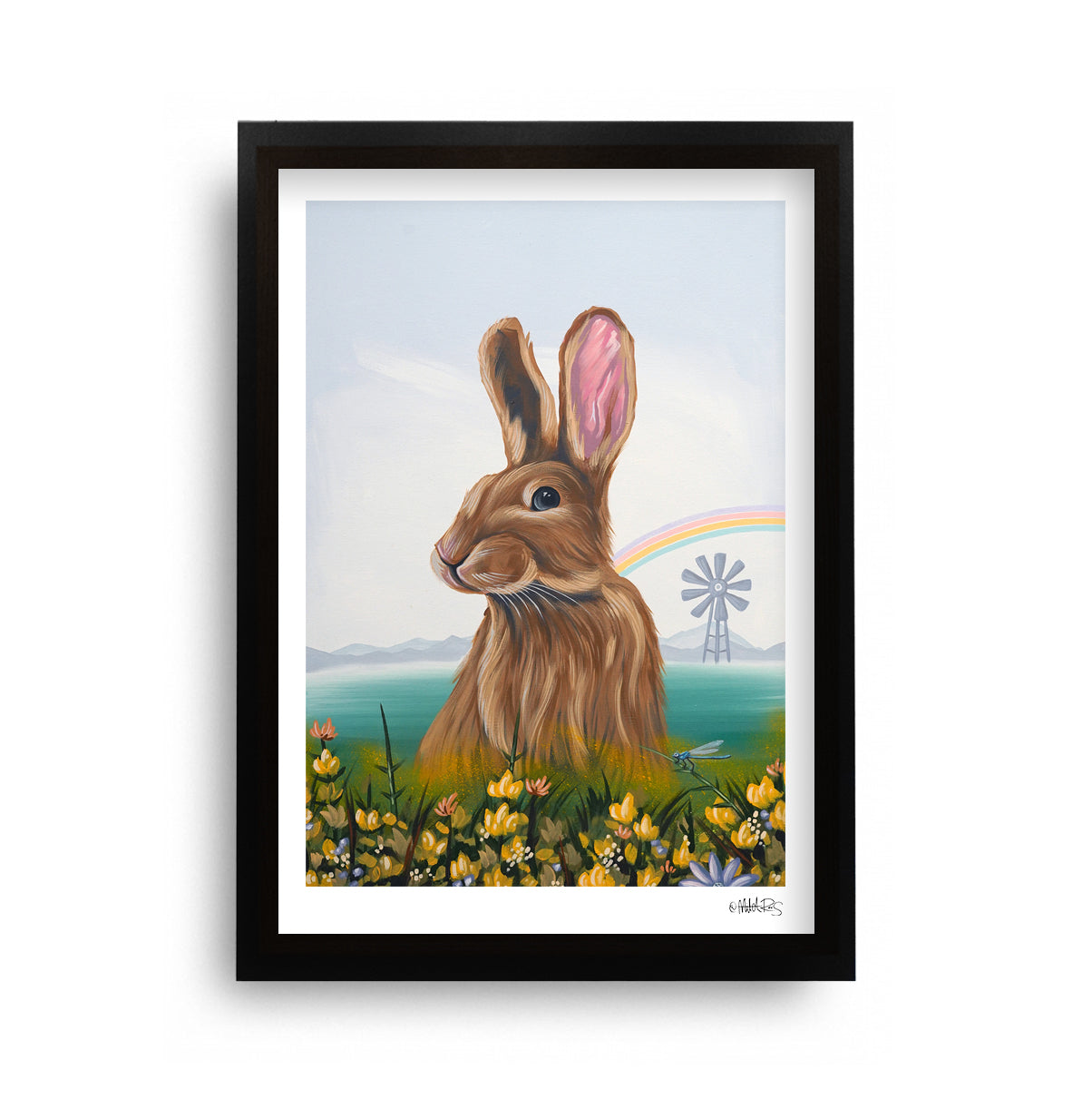 The Majestic Rabbit – Mitch Revs Gallery