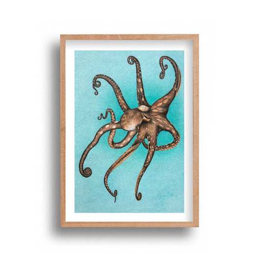 Ally Fetscher-Smith - Octopus