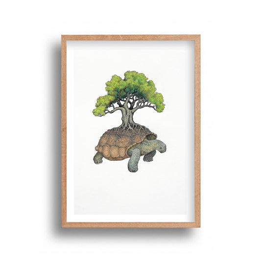 Peter Simmons - Tortoise Tree