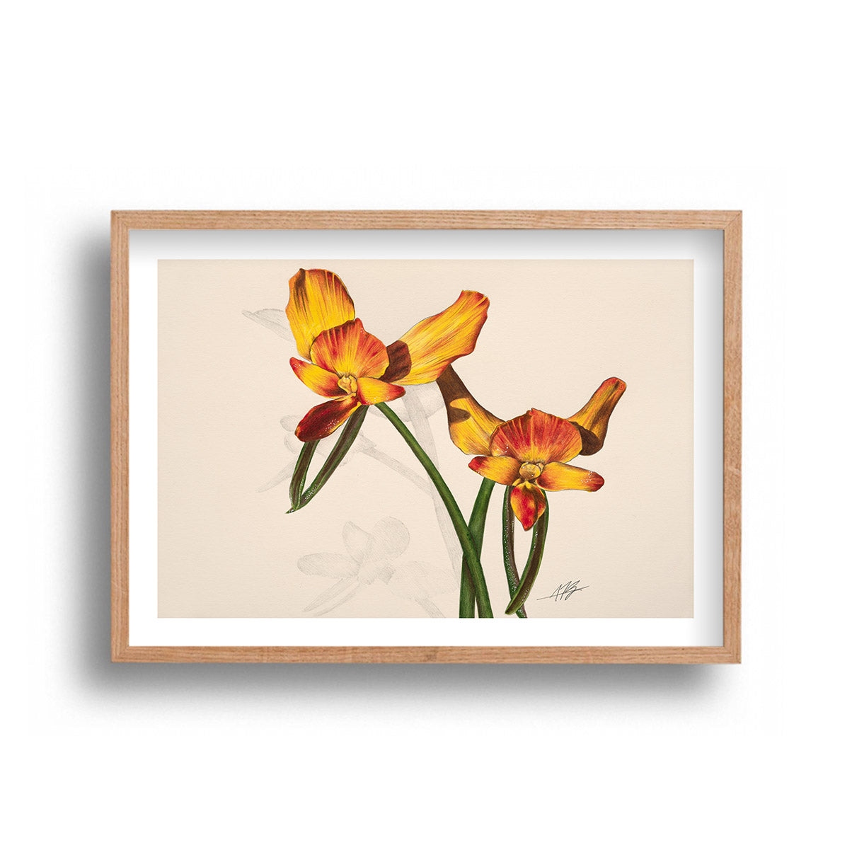 Ally Fetscher-Smith - Yellow Orchid